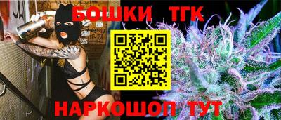 тгк Гусь-Хрустальный