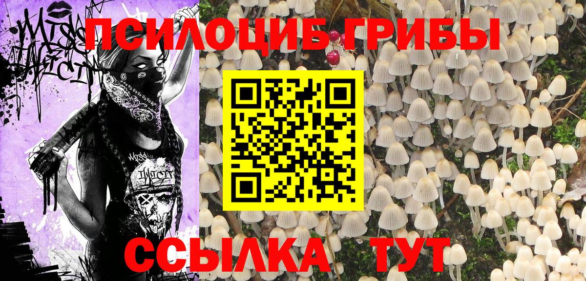 Галлюциногенные грибы мицелий Ликино-Дулёво